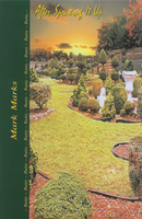 Click for larger image